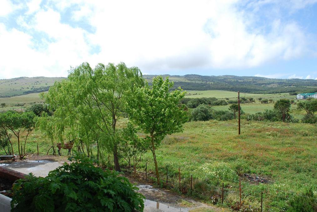 San Jose Del Valle Фасинас Экстерьер фото